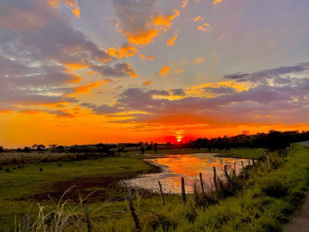 Pré-Estação fica cerca de 25% abaixo da média 8 img 1605 1