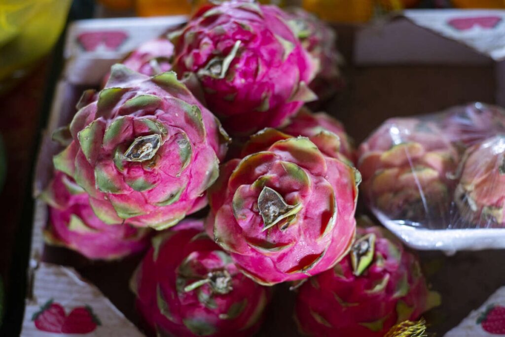 Preço da pitaya tem queda de 57,1% na Ceasa Cariri 2 img 2162 1