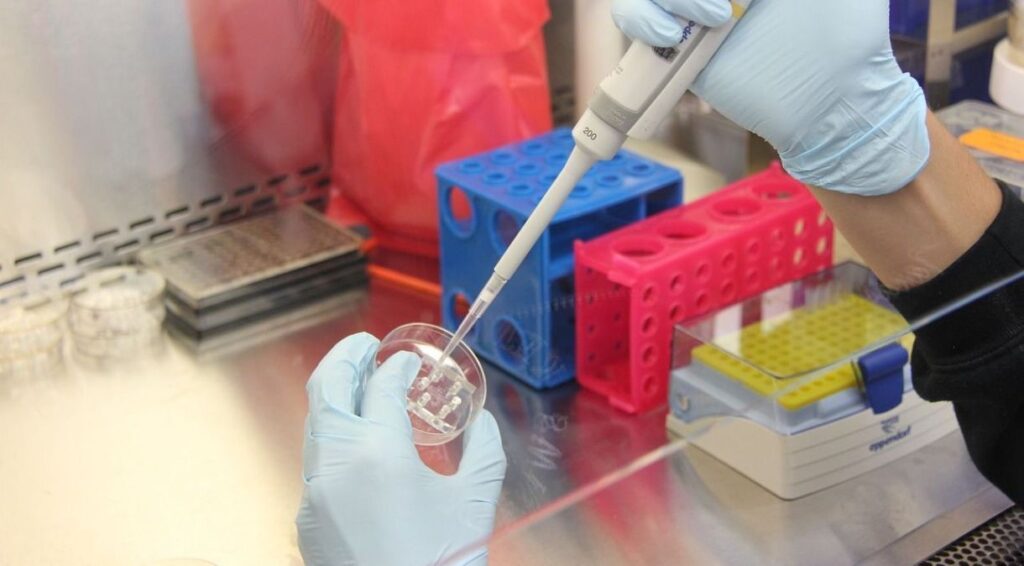 Fertilização in vitro é a opção para pacientes com câncer terem filhos 8 img 2997 1