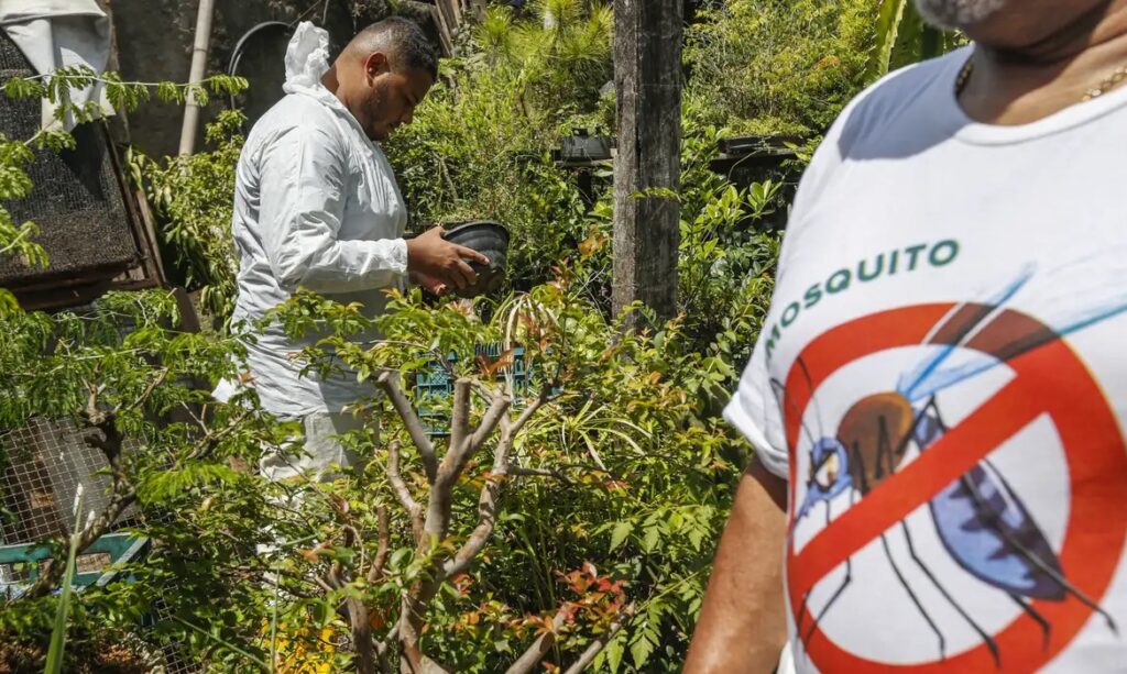 Brasil concentra quase 70% dos casos de dengue da AL e Caribe 9 img 0030