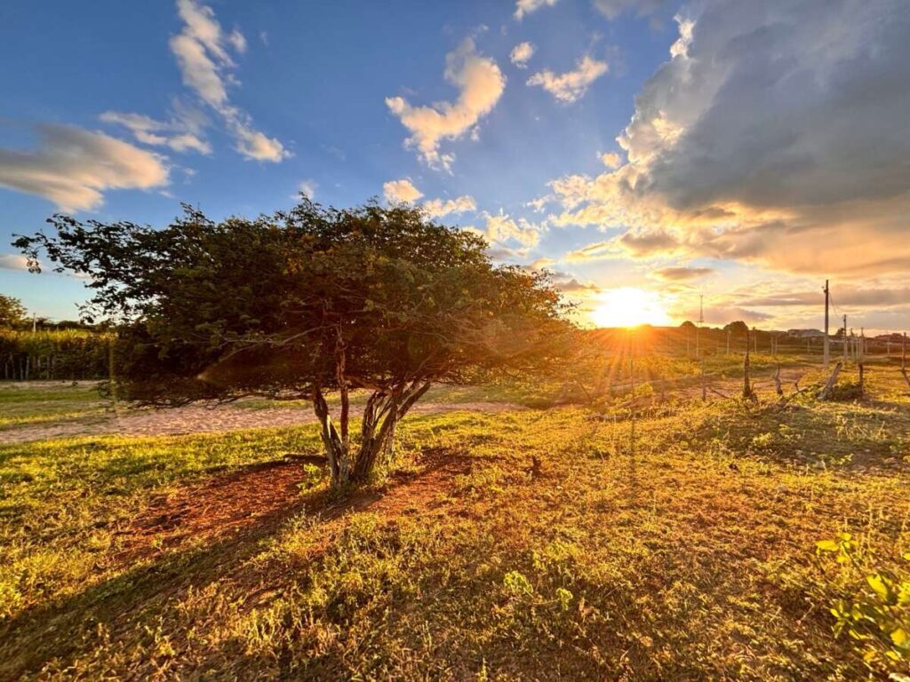 Último fim de semana de maio chega com condições para predomínio de céu claro e poucas chuvas 2 img 2197 1