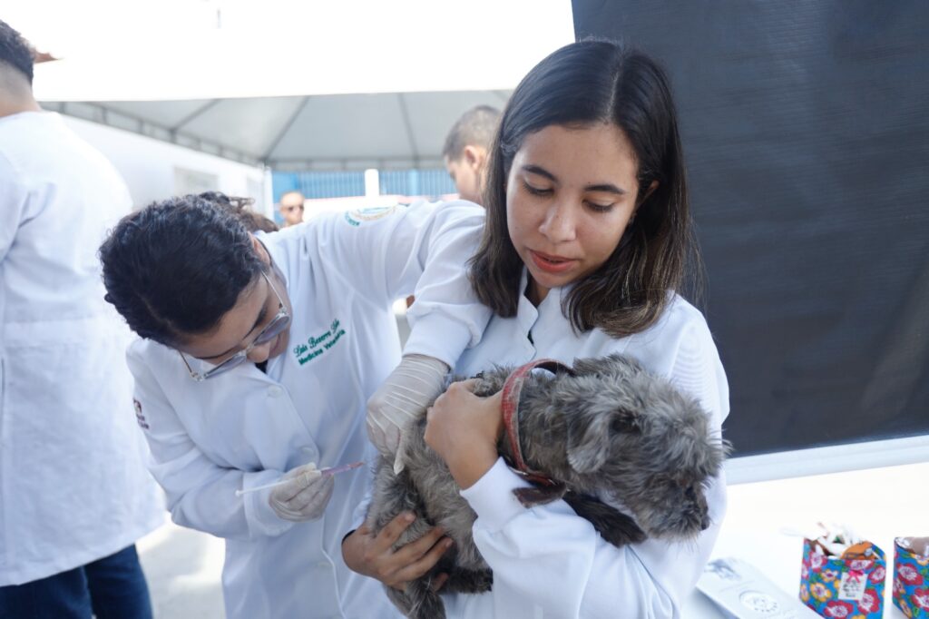 Juazeiro: Zona Rural recebe campanha de vacinação antirrábica 5 IMG 20240626 WA0020