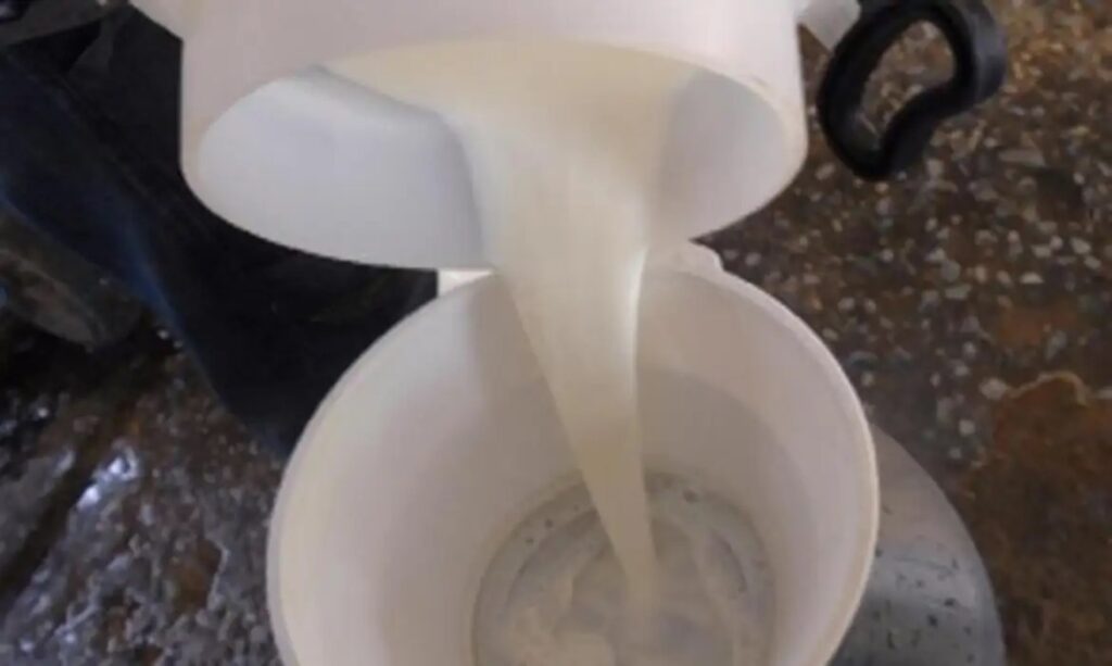 Campanha alerta sociedade sobre alergia alimentar 10 img 3312