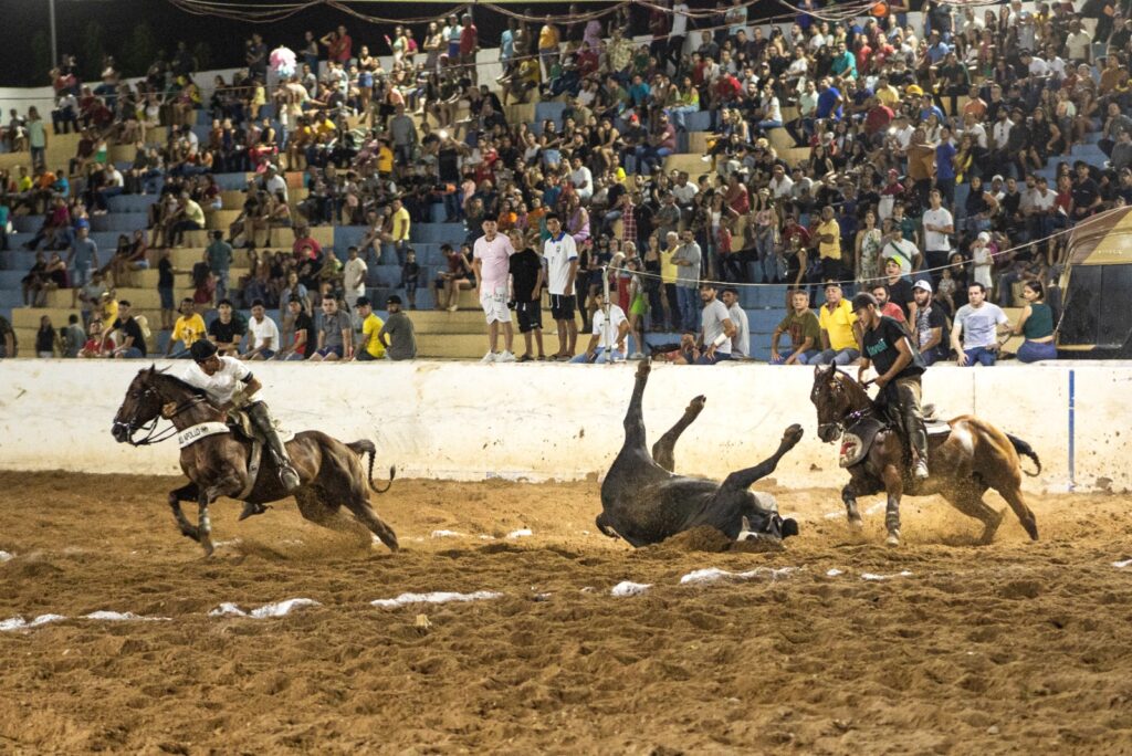 WhatsApp Image 2024 07 03 at 16.39.39