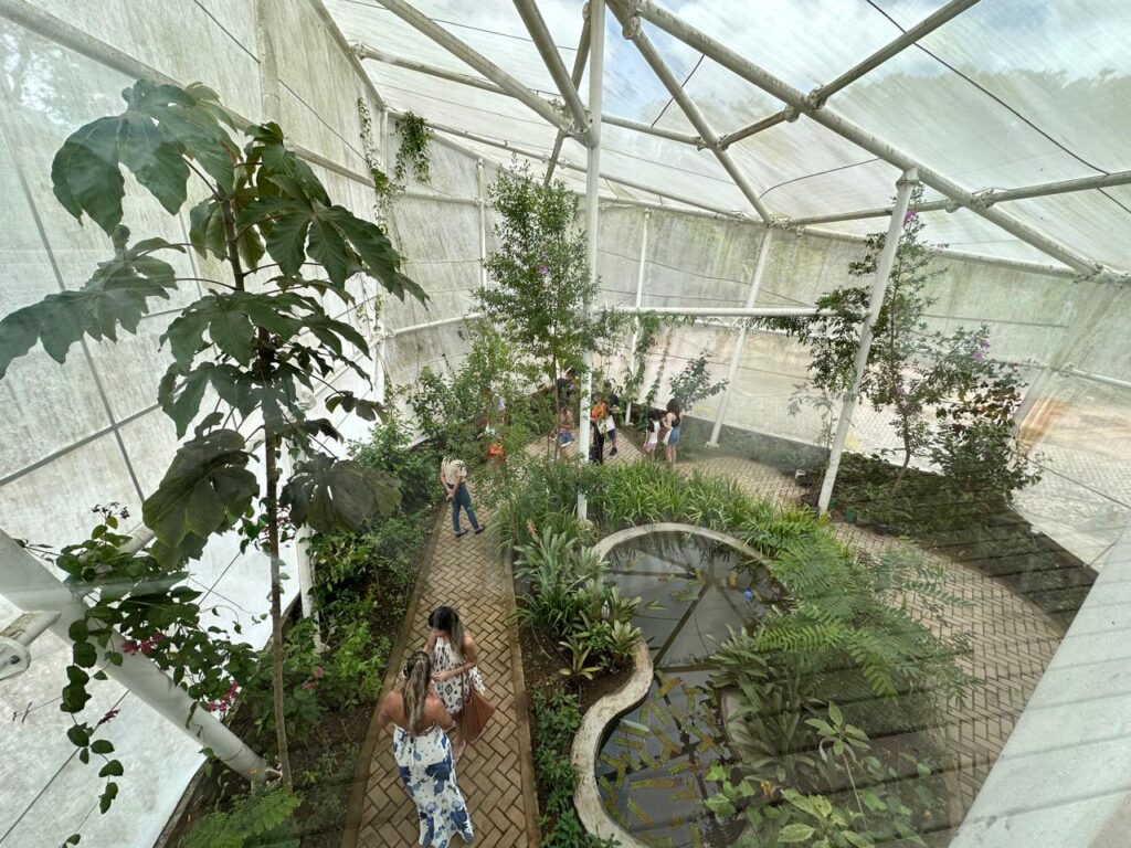 WhatsAppImage2024 07 12at22.04.04