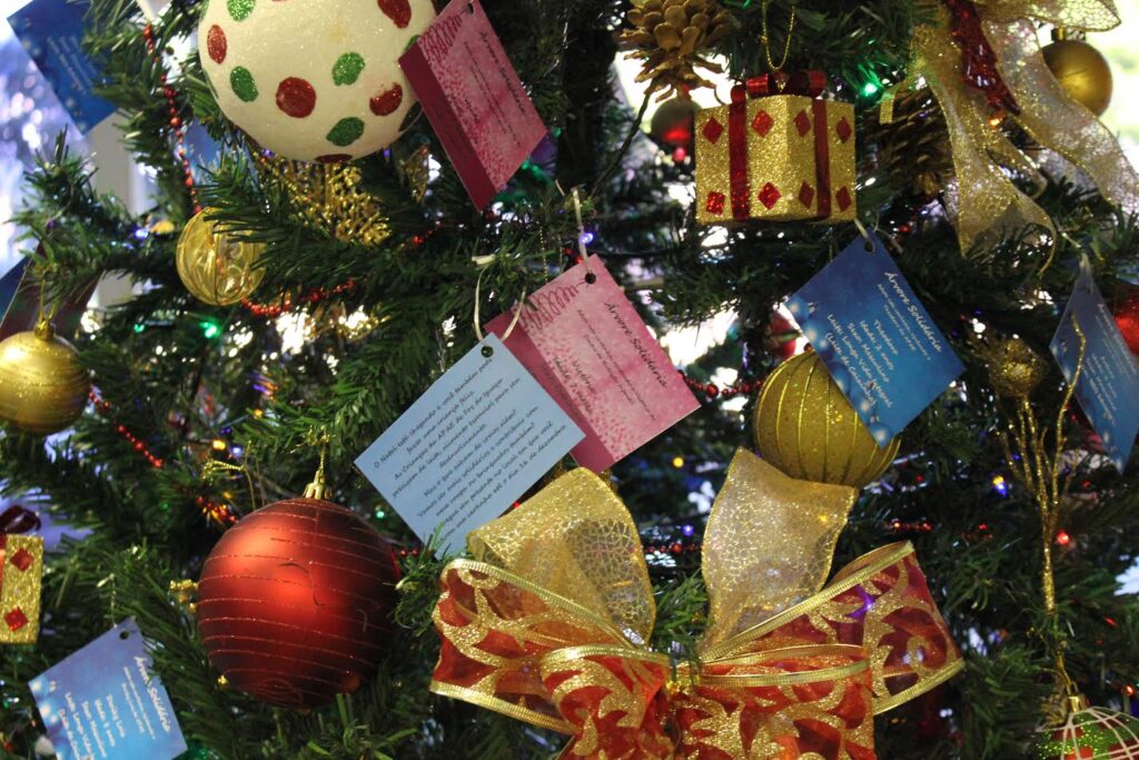 arvores solidaria hmcc