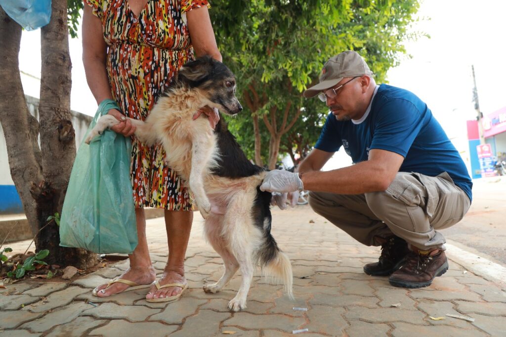 Vigilância em Saúde leva vacinação antirrábica aos bairros Monsenhor Murilo de Sá Barreto e Horto 9 IMG 20250110 WA0021