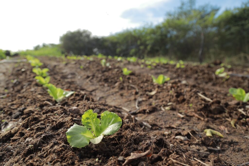 WhatsApp Image 2025 01 15 at 11.55.50