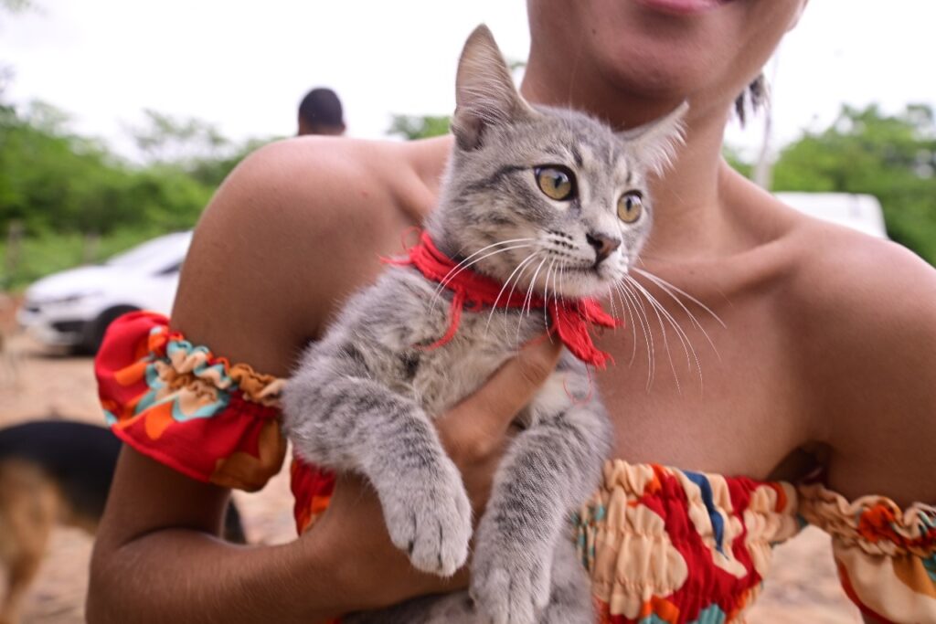 Aeroporto e Carité recebem serviço de vacinação antirrábica nesta semana 6 WhatsApp Image 2025 01 20 at 15.51.02