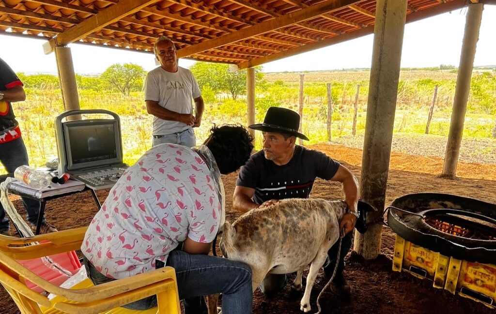 Programa Mais Genética no Sertão chega a Potengi 4 prefeituradepotengiceara 2025 01 21T221108.000Z 2 e1737572481645