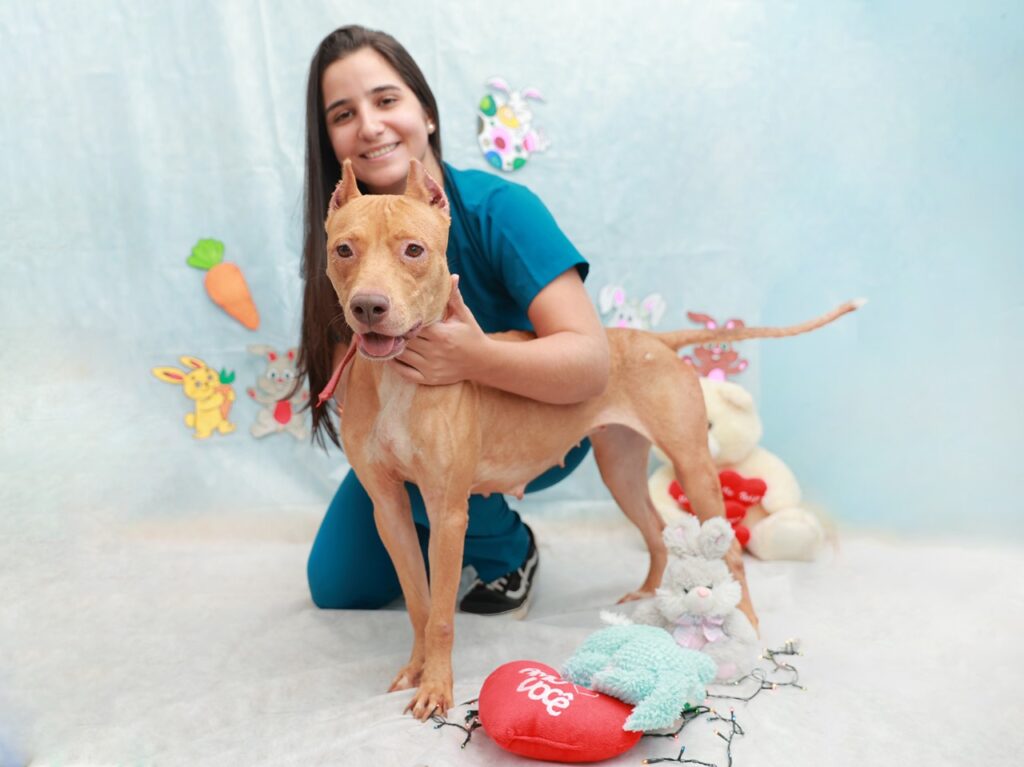 Centro de Controle de Zoonoses realiza campanha de adoção legal 8 IMG 20250403 WA0183