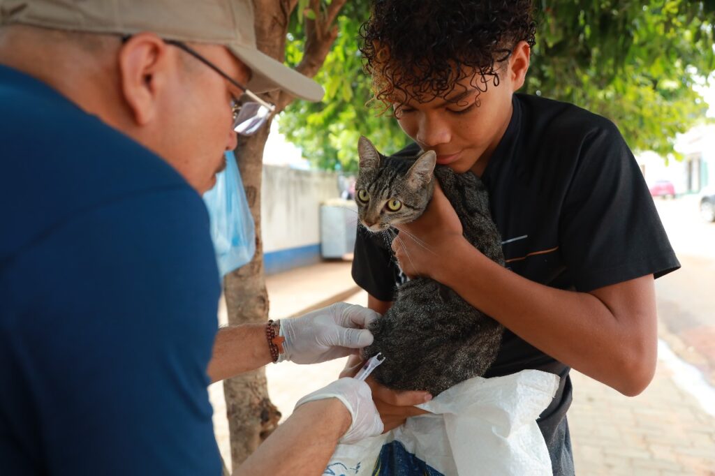Sesau promove vacinação antirrábica no bairro Aeroporto nesta quinta, 10 3 Sesau promove vacinacao antirrabica no bairro Aeroporto nesta quinta 10