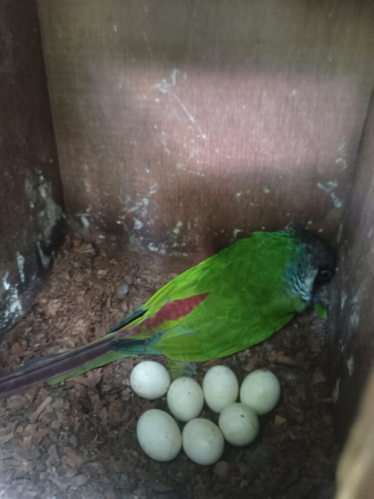 WhatsApp Image 2025 04 23 at 15.02.23