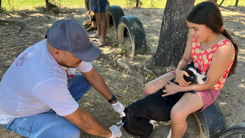 Mais de 1.200 animais são imunizados contra a raiva durante o primeiro mês de campanha na zona rural 10 WhatsApp Image 2025 08 01 at 14.11.38