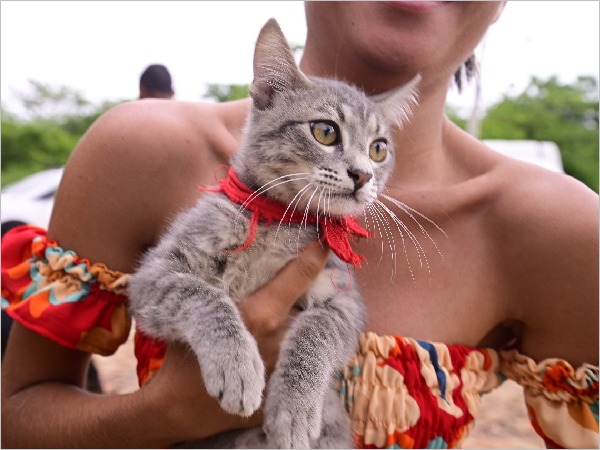 WhatsApp Image 2025 09 01 at 14.55.59