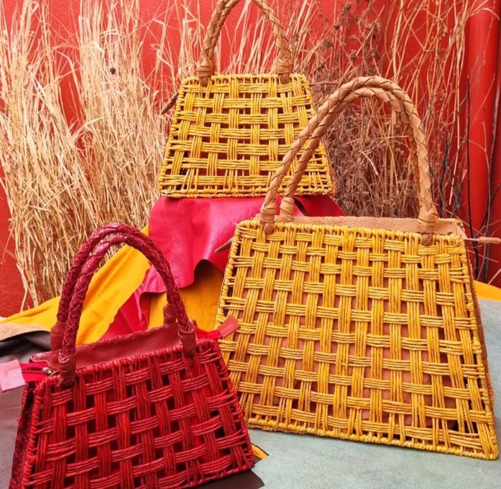 WhatsApp Image 2025 09 04 at 09.52.37