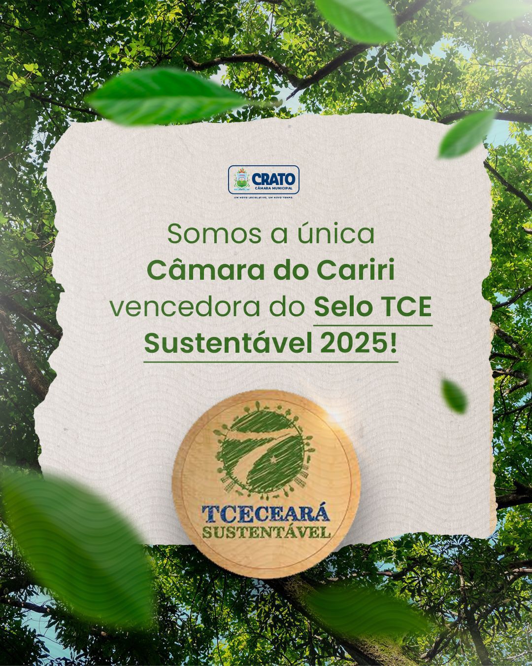 img 20251130 wa00212477337046088544806