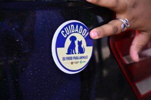 WhatsApp Image 2026 01 23 at 14.59.59