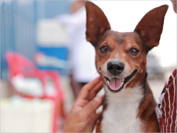 WhatsApp Image 2026 02 25 at 14.35.09