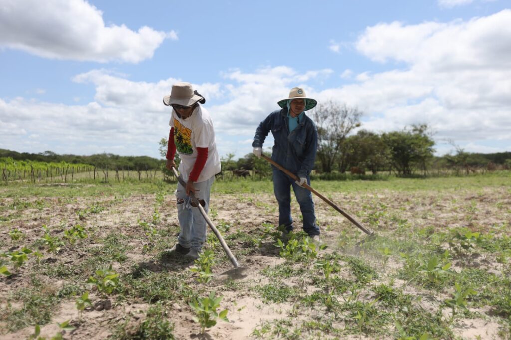 Juazeiro do Norte está entre cidades do Ceará que receberão pagamento do Garantia-Safra 1 IMG 20260320 WA0004