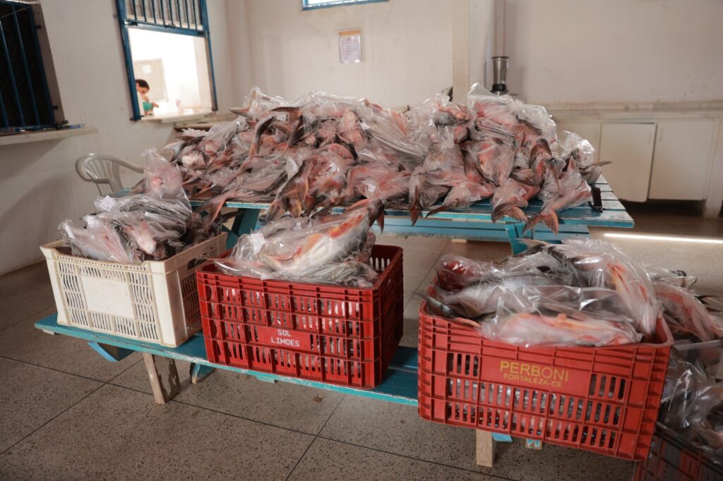 WhatsApp Image 2026 04 01 at 18.33.59