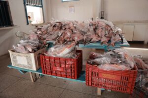 Home 2 WhatsApp Image 2026 04 01 at 18.33.59