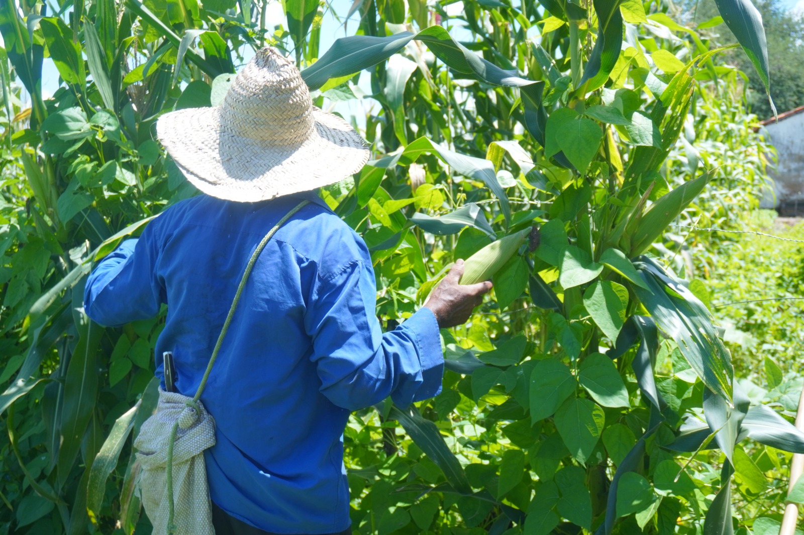 Juazeiro do Norte divulga calendário de cadastramento de agricultores familiares para o Garantia-Safra 2026/2027